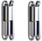 2 Pièces Paumelles Charnière Inox, Charnière à Visser de Porte, Charnière à Visser pour Portes, Charnières de Rénovation, pour Porte, Box, Cabanon, Fenêtre, Clôture