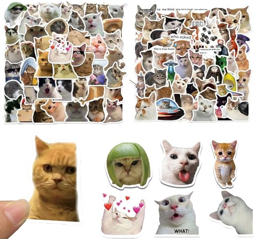 lustige Katzen Aufkleber,100 Stück Wasserfeste Vinyl-Aufkleber im Kawaii- und Meme-Stil für Scrapbooks Laptops Trinkflaschen sSüße Aufkleber für Teenager Kinder und Katzenliebhaber