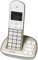 Philips XL4951S/38 schnurloses Telefon (leicht bedienbar, große Tasten, hörgerätekompatibel) silber