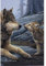 Tree-Free Greetings Grußkarten mit Wolf-Motiv, 12 Stück, 66914