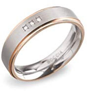 Boccia Damen-Ring Titan Diamant (0.03 ct) weiß Brillantschliff Gr. 54 (17.2) - 0134-0254