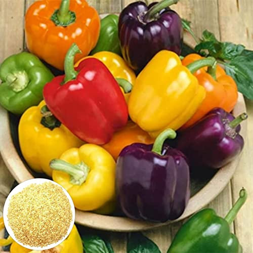 Luojuny Semi di peperone, 200 pezzi a crescita rapida ben adattati nutrienti non OGM pieni di vitalità alto tasso di germinazione giardinaggio rosso giallo viola semi di peperone dolce forniture da