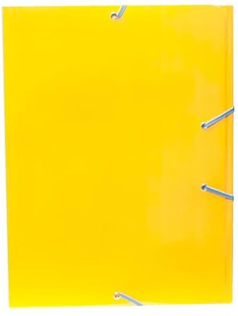 Ordner aus Polypropylen der Marke CAMPUS UNIVERSITY Modell Campus Carton Fº G/S BRI.AMAR