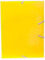Ordner aus Polypropylen der Marke CAMPUS UNIVERSITY Modell Campus Carton Fº G/S BRI.AMAR