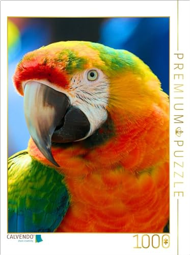 CALVENDO Puzzle Farbenprächtiger Regenbogenara | 1000 Teile Lege-Größe 64 x 48 cm Foto-Puzzle für glückliche Stunden