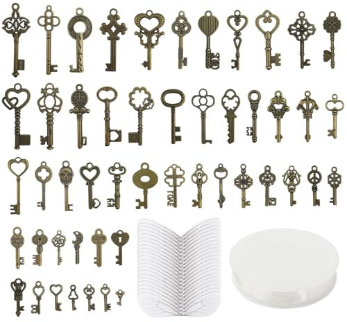 Baxcdyswe 101 Stk Vintage Schlüssel, With 50 Deko Anhänger Schlüssel, 50 x Libellen Flügel, 1 x 30 Meter Perlendraht für Halskette Herstellen Schmuck Basteln, Weihnachtsdekoration, Hochzeit Deko