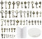 Baxcdyswe 101 Stk Vintage Schlüssel, With 50 Deko Anhänger Schlüssel, 50 x Libellen Flügel, 1 x 30 Meter Perlendraht für Halskette Herstellen Schmuck Basteln, Weihnachtsdekoration, Hochzeit Deko