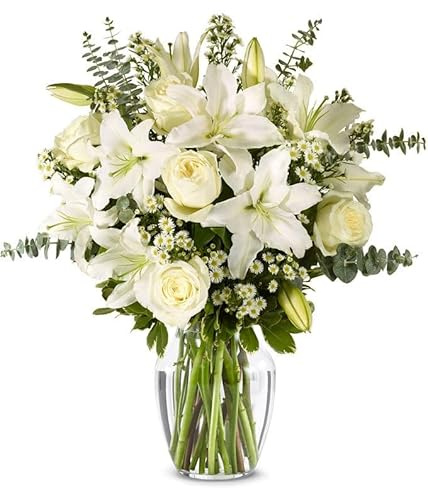 From You Flowers - With All Our Sympathy Lily Arrangement with Glass Vase | Fresh Flower Bouquets for Birthday, Anniversary, Get Well or Celebration
