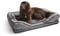 Silentnight Orthopaedic Dog Bed - Cosy Comfortable Pet Bed with Ergonomic Foam Body & Head Support - Super Soft Faux Fur & Sturdy Woven Removable Washable Cover, Non-Slip Base, Medium 59x80cm, Grey
