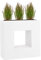 Pflanzwerk® Pflanzkübel Fiberglas Weiss Vista 66x66x28cm *Frostbeständige Blumenkübel* *Deutsche Premiumqualität* *Lotus-Effekt Imprägnierung*