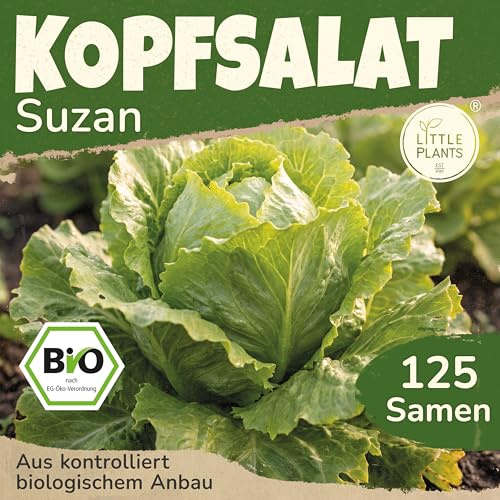 Little Plants BIO Kopfsalat Samen 125 Kopfsalatsamen Suzan Gemüsesamen für Gemüsegarten Samenfest Gemüse Samen Salatsamen für Küche, Balkon und Garten