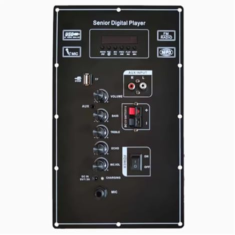 Placa amplificadora estéreo Digital Bluetooth de 9 V con micrófono Dual de 80 W
