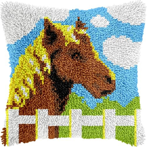 Kitquiver Diy Kit Crochet Principiantes Kits De Ganchillo Para Hacer Almohadones, Cojines Y Alfombras Con Patrón Preimpreso En Lienzo 17x17in