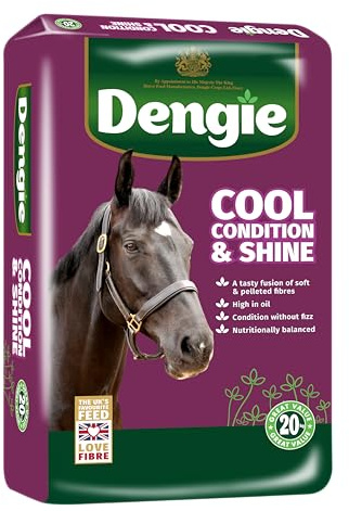 Dengie Cool Condition & Shine 20kg Balanced Horse Feed - Spearmint Oil for Fussy Horses - Soft Chopped Chaff & Alfalfa Pellets - Promotes Condition & Coat Shine