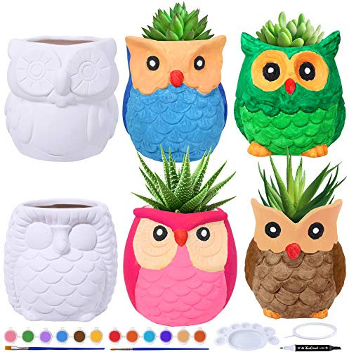 Winlyn 6 Sets DIY Ceramic Owl Succulent Pots Paint Craft Kit, Unpainted Ceramic Bisque Owl Flowerpots with Drainage Hole, Ready to Paint for Kids Classroom Craft Project Activity