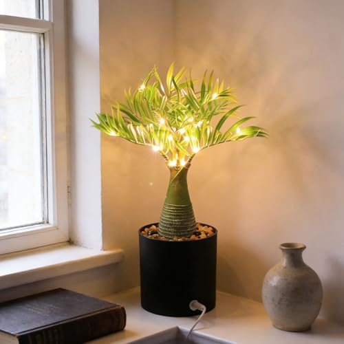 wpdash Lampe LED en forme de palmier avec lumière simulée en bouteille ou plante en pot pour enfant avec lumière chaude, décoration de type guirlande lumineuse, lampe de bureau USB, convient pour les