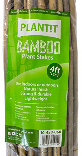 25x Tuteurs / Tiges de bambou naturel pour plantes 6/8mm (120cm)