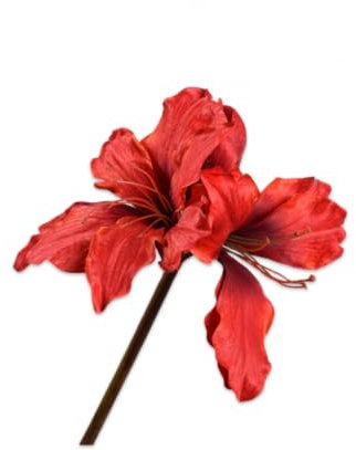 Silk-ka Künstliche Blume – Seidenblume – künstlicher Zweig, Amaryllis-Stiel, rot, 69 cm
