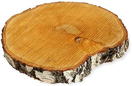 Große Holzscheibe zum Basteln oder Dekorieren - 1 Stück naturbelassene Baumscheibe aus Birkenholz mit 30 - 35 cm Durchmesser - runde Holz Birkenscheibe als Deko Holzplatte Holzdeko