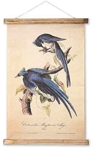 ABoby Vintage Birds Hängendes Poster Retro Stil von Wandkunstdrucken, gedruckt auf Leinen mit Holzrahmen, fertig zum Aufhängen