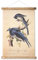 ABoby Vintage Birds Hängendes Poster Retro Stil von Wandkunstdrucken, gedruckt auf Leinen mit Holzrahmen, fertig zum Aufhängen
