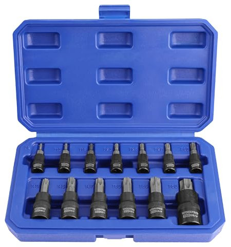 WORKPRO 13-Piece Torx Bit Socket Set, Allen Socket Set, Torx Sockets(T8-T60), Premium S2 Steel Star Bits and Cr-V Sockets with Storage Case, 1/4, 3/8 and 1/2 Drive