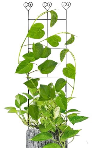 Garden Trellis Metal Stakes Support Yard Decor Climbing Plants, Outdoor Flower Vine Ivy Rose Monstera, Rust Resistant Coating, Excellent for Garden, Patio, and Home Decor
