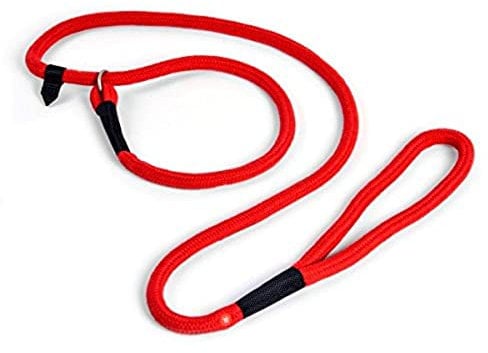 Petface Red Nylon Slip Lead; 200 cm; Dog; LEASH