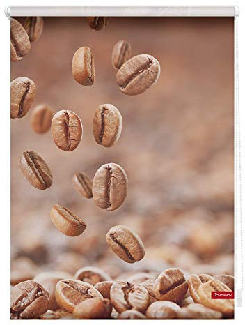 Lichtblick Klemmfix Tageslicht-Rollo mit Motiv, ohne Bohren, Blickdicht, Seitenzugrollo, Made in Germany, Kaffee - Braun 100 cm x 150 cm (B x L)