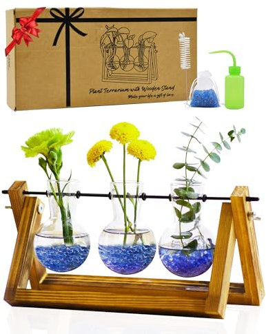 Yeomoo Jarrón de flores terrario plantas con soporte de madera jardín de botellas: pequeños jarrones de cristal, regalos divertidos para mujeres, decoración de mamá, salón, decoración de mesa, jarrón