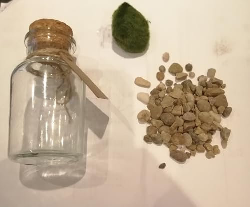 Biotope Aquatics Ltd - Live Marimo Moss Ball, Cladophora aegagropila, Aquarium Plant (12cm Jar with Natural Gravel & 3-5cm Moss Ball)