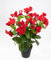 Seidenblumen Roß Hibiskus 40cm rot im Topf ZF künstliche Pflanzen künstlicher Eibisch Kunstblumen Kunstpflanzen
