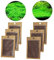 Suministros para acuarios semillas de plantas acuáticas semillas de plantas suministros para acuarios mini semillas 6 bolsas súper fáciles de cultivar 2 especies