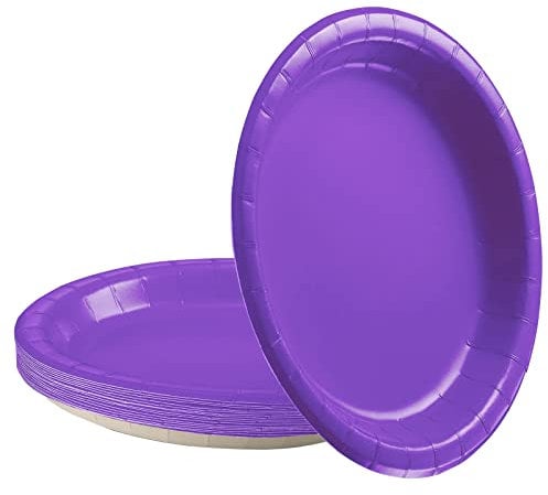 16 piatti di carta viola scuro per feste, 22,9 cm, viola scuro, decorazioni per feste viola scuro, piatti di carta viola scuro, per bambini, forniture per feste, decorazioni per la tavola