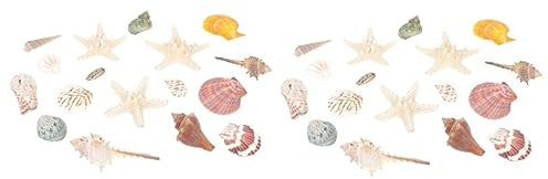 Yardwe 2 Ensembles Coquille Naturelle Ornements océaniques Ornements d'aquarium décor coquilles d'huîtres pour l'artisanat Ornements de Coquille étoile de mer Crabe ermite Coquillage