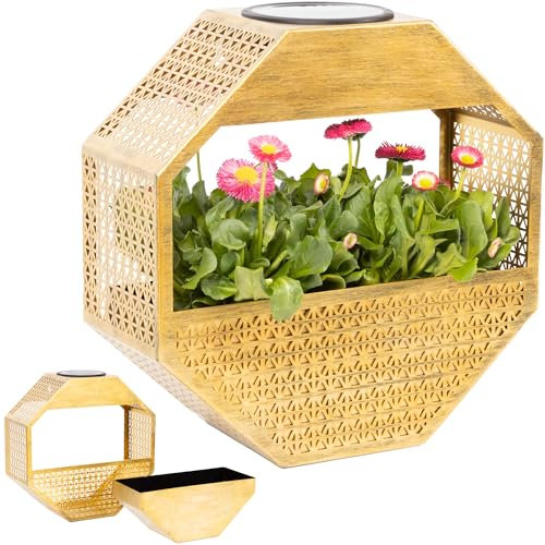 Gadgy Solar-Wandlampe mit Blumentopf – Wandvase hängend mit Warmweißem Solarlicht – Beleuchtete Blumenampel für Balkon & Terrasse – Wetterfeste Gartenbeleuchtung und Pflanzschale mit Licht