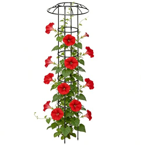 Pflanzen Klettergerüst Outdoor - Stabile Dekorative Unterstützung Kletterpflanzen - Outdoor Blumen Stützkäfig | für Kletterpflanzen Rose Clematis Gurke Hortensia Pothos