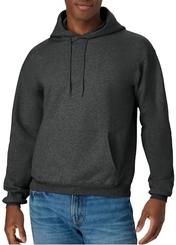 Hanes mens Pullover Ecosmart Hooded Sweatshirt Hoody, Charcoal Heather, Small US