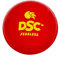DSC Synthetic Wobble Leather Cricket Ball (Red)| Water Proofed Leather Ball | Suitable for Practice Game | Tournament Game Cork