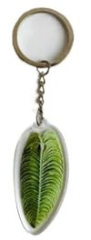 5 Pcs Acrylic Leaf Keychain Simulation Leaves Keyring Monstera Leaf Foliage Key Chain Car Bag Charm Fashion Pendant Mom Gift(Style 6)