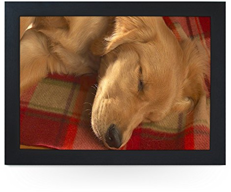 Portable Lap Desk Tray (Sleeping Golden Retriever) Handmade Wooden Frame, Beanbag Cushioned Bottom | Computers, Laptops, Meals, Food | L0041 Black