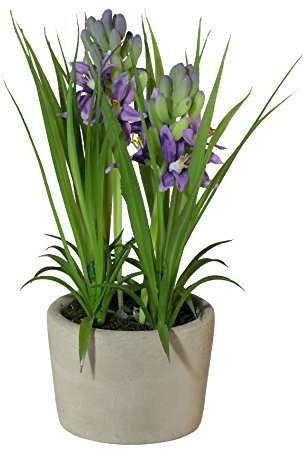 creativ home Kunstpflanze HYAZINTEN im Zementtopf. Ca 21 cm. Lilie getopft. LILA. 1018031-80