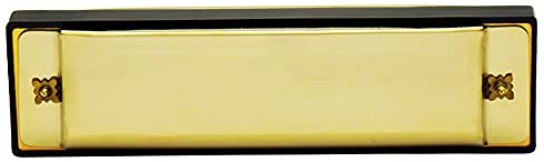 AKLOSIPY IRIN Leichte 10-Loch-Mundharmonika aus Goldenem Metall – Unverzichtbares Musikinstrument für Anfänger und Profis, Tragbar und Einfach zu Spielen (GOLD)