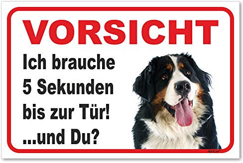 AdriLeo Schild - Vorsicht Berner Sennenhund - 5 Sekunden - (20x30cm) / Achtung Hund Wachhund robust langlebig UV-beständig wetterfestes Warnschild