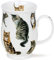 SU_Cats-TA Tasse en porcelaine anglaise Motif chats tigrés Staffordshire 0,31 l