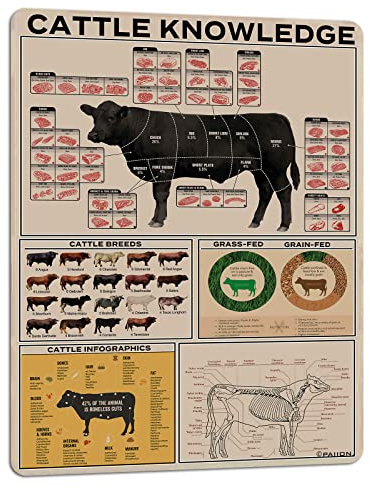 PAIION Metall-Blechschild mit Rinder-Wissen, Rasseninformationen, Poster, Tierbauernhof, Anatomie, Club, Schule, pädagogische Wanddekoration, 40,6 x 30,5 cm