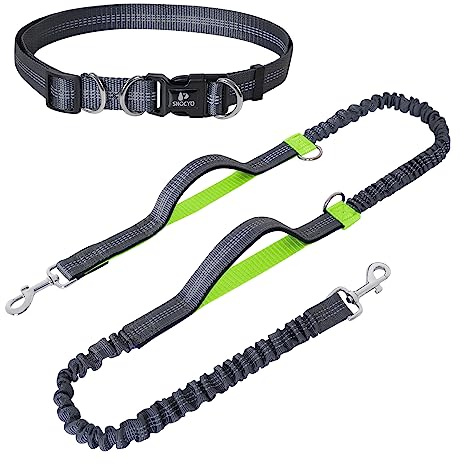 Snocyo Laisse de Jogging pour Chien de Taille Moyenne et Grande, Élastique et Réfléchissante, Laisse Rétractable avec Double Poignée et Ceinture de Taille