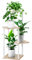 YOCOMEY 4-Tier Hölzern Blumenregal Pflanzenregal, Mehrstöckig Blumenständer Pflanzenständer Blumenbank Blumentreppe Pflanzentreppe Standregal für Innen Garten Balkon Deko(Weiß Eiche)