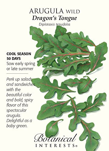 Portal Cool Samen Paket: Dragon's Tongue er cola Samen - 500 mg