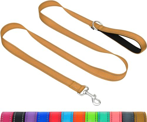 Taglory Hundeleine leicht für kleine mittelgroße Hunde, 1,2 m, Braun | Weich gepolsterte Handschlaufe, Reflektoren für Sicht bei Nacht, Sicherer Halt, wenn er zieht, Für den täglichen Gassigang